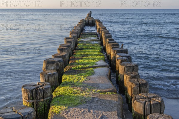 Grooves in the Baltic Sea, beach in Ahrenshoop, Darß, Mecklenburg-Western Pomerania, Germany