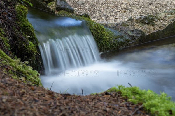 Clear mountain stream, moss-covered stones, Zgornje Jezersko mountaineering village, Slovenia