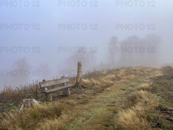 Winterberg, Sauerland, North Rhine-Westphalia, Germany - fog landscape on the Schweden-Steig W1 hiking trail, Drei-Dörferblick bench, forest near Winterberg-Schmallenberg, bare trees in fog, leaves lying on the forest floor