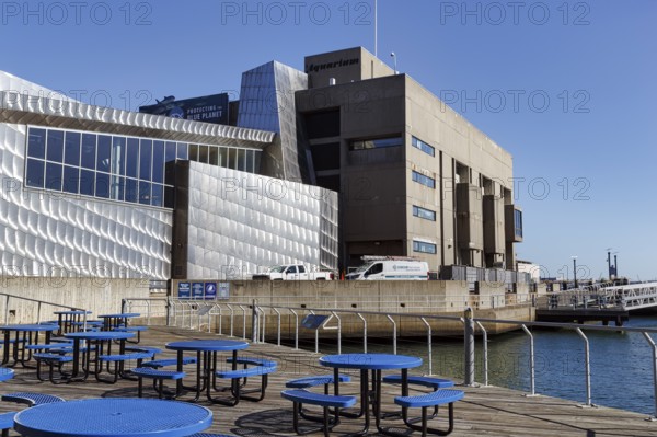 New England Aquarium, benches on patio, distinctive modern architecture, Central Wharf, waterfront, Financial District, Downtown, Boston, Massachusetts, New England, USA