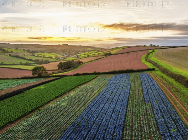 Colours of autumn Fields and Farms over Sheldon from a drone, Torbay, Devon, England, United Kingdom