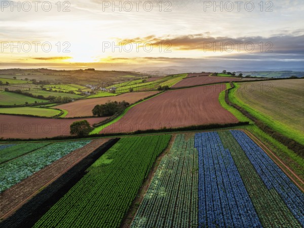 Colours of autumn Fields and Farms over Sheldon from a drone, Torbay, Devon, England, United Kingdom