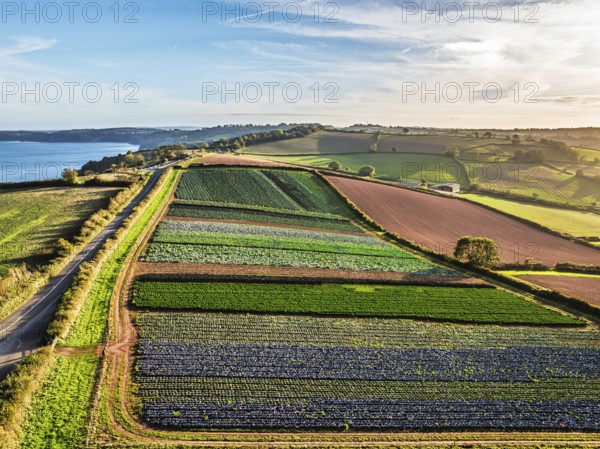 DefaultColours of autumn Fields and Farms over Sheldon from a drone, Torbay, Devon, England, United Kingdom