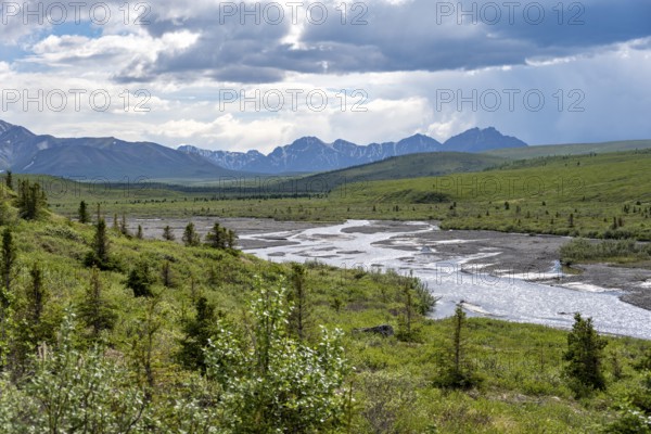 Savage River, tundra and mountainous landscape, Denali National Park, Alaska, USA
