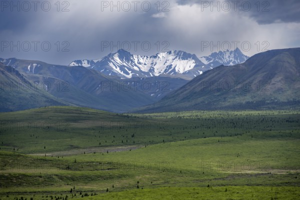 Tundra and mountain landscape with dramatic cloudy sky, Denali National Park, Alaska, USA