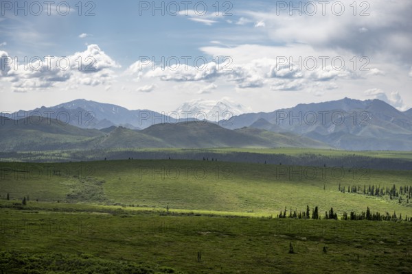 Tundra and glaciated peak of Denali or Mount McKinley, mountainous landscape, Denali National Park, Alaska, USA