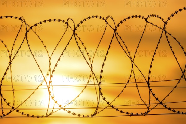 Barbed wire against a dramatic orange sky at sunset conveys an atmosphere of borders and reservation, Baden-Württemberg, Germany