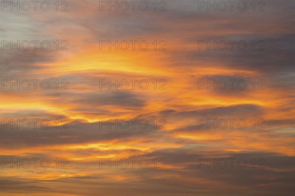 Abstract cloud formations in bright orange against a pastel colored sky, Baden-Württemberg, Germany
