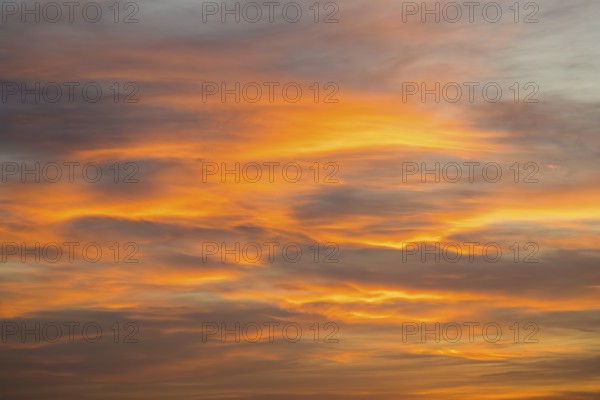 Warm orange clouds illuminate the sky at sunset, Baden-Württemberg, Germany