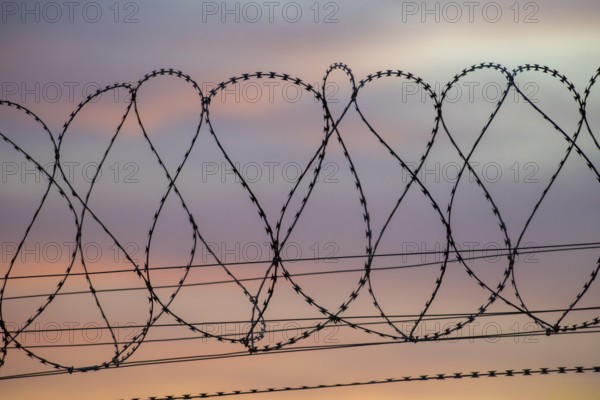 Barbed wire against a pastel evening sky offers a contrasting view, Baden-Württemberg, Germany