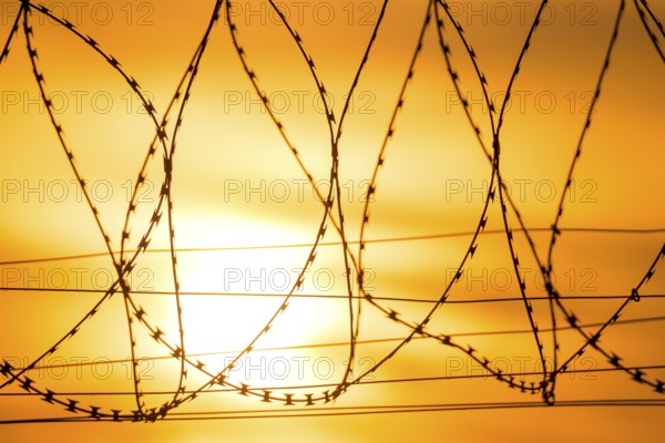 Barbed wire in the foreground at sunset, yellow-orange colors dominate, Baden-Württemberg, Germany
