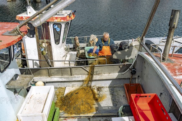 Fishermen in the inland port in Eckernförde, Schleswig-Holstein, Germany