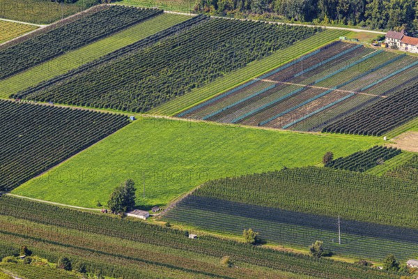 Rectangular fields, Calais, view from Vercorin, Val d'Anniviers, Valais Alps, Canton of Valais, Switzerland