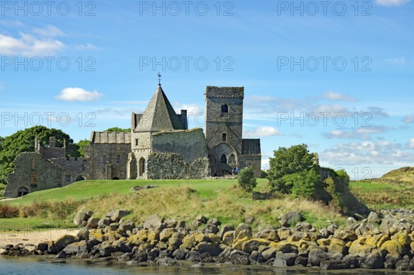 A historic castle on a green field with trees under a blue sky, Inchholm Abbey, Middle Ages, Firth of Forth, Edinburgh, Scotland, Great Britain