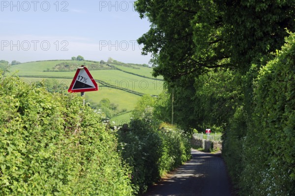 A picturesque tree-lined road with a steep warning sign in a green rolling countryside, Cornwall, United Kingdom