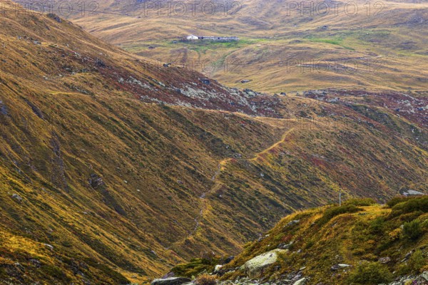 Alpine meadows in autumn colors above the Lac de Moiry reservoir, Val d'Anniviers, Valais Alps, Canton of Valais, Switzerland