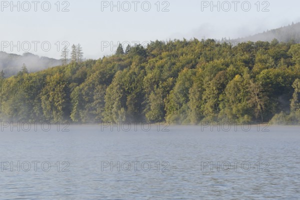 Hennesee, morning fog, Hennetalsperre, Sauerland-Rothaargebirge nature park Park, North Rhine-Westphalia, Germany