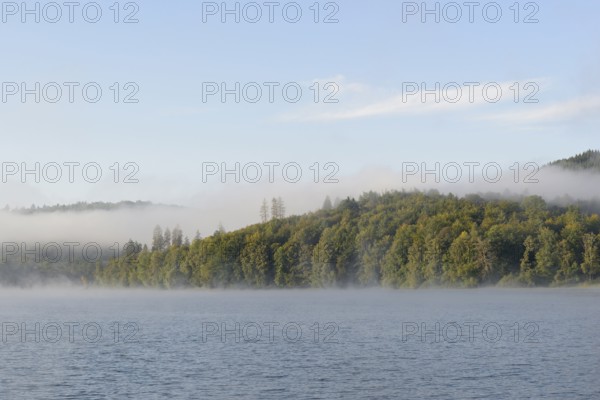 Hennesee, morning fog, blue sky, Hennetalsperre, Sauerland-Rothaargebirge nature park Park, North Rhine-Westphalia, Germany