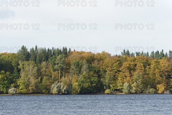 View over Lake Möhnesee, mixed autumn forest on the shore, overcast sky, Möhnetalsperre, North Rhine-Westphalia, Germany