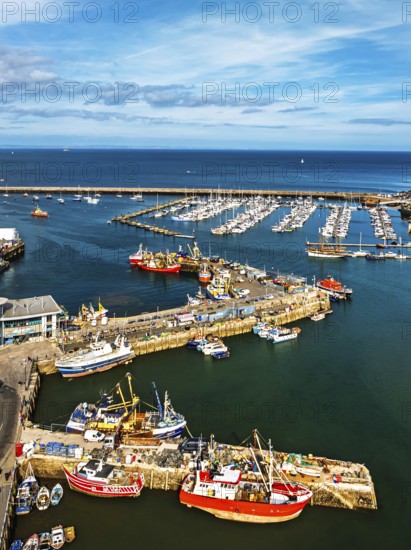 Brixham Hourbour and Brixham Marina from a drone, Brixham, Torbay, Devon, England, United Kingdom
