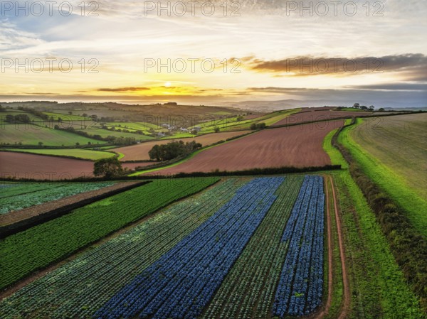 Colours of autumn Fields and Farms over Sheldon from a drone, Torbay, Devon, England, United Kingdom