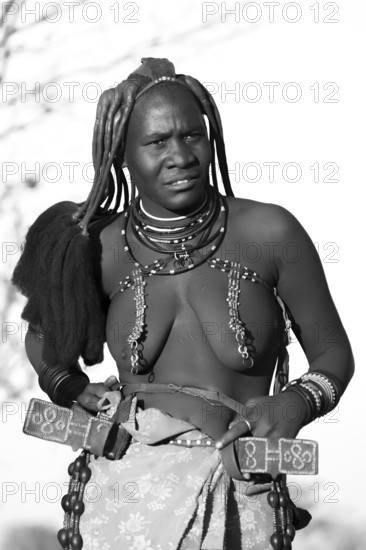 Black and white, portrait, Himba woman, traditional clothing, Kaokoveld, Kunene, Namibia