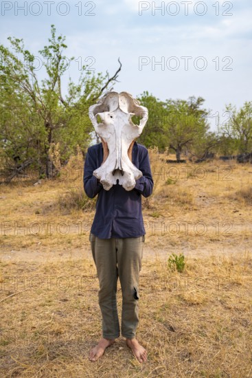 Man holding a hippopotamus skull in front of his head, Botswana