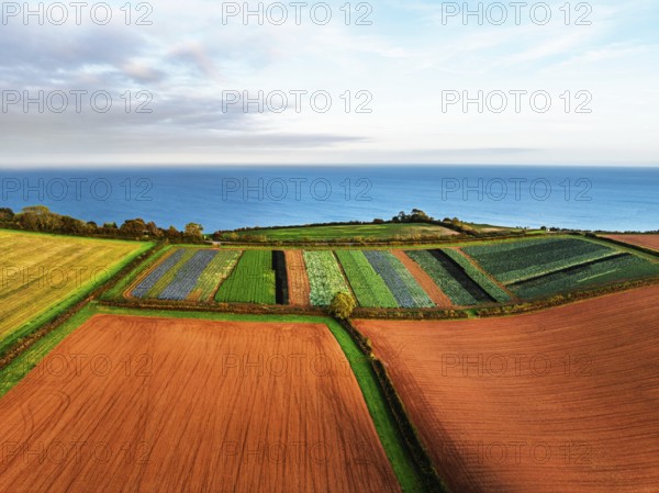 Colours of autumn Fields and Farms over Sheldon from a drone, Torbay, Devon, England, United Kingdom
