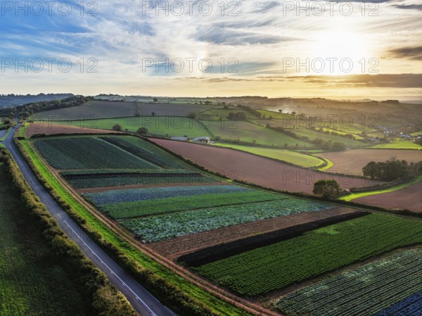 Colours of autumn Fields and Farms over Sheldon from a drone, Torbay, Devon, England, United Kingdom
