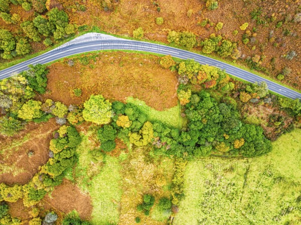 Top Down view of Autumn colours over River Wye and Road A470 from a drone, Llanidloes, Powys, Montgomeryshire, Wales, UK