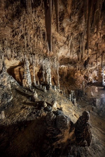 Stalactites and stalagmites, rock formations in a stalactite cave, Grotta del Fico, Gulf of Orosei, Baunei, Sardinia, Italy