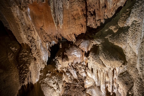 Stalactites and stalagmites, rock formations in a stalactite cave, Grotta del Fico, Gulf of Orosei, Baunei, Sardinia, Italy