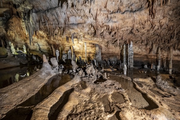 Stalactites and stalagmites, rock formations in a stalactite cave with water basin, Grotta del Fico, Gulf of Orosei, Baunei, Sardinia, Italy