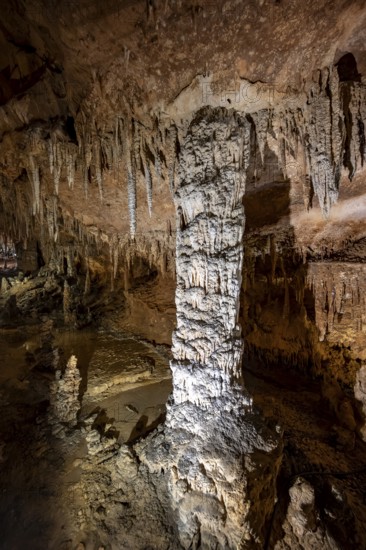 Stalactites and stalagmites, rock formations in a stalactite cave, Grotta del Fico, Gulf of Orosei, Baunei, Sardinia, Italy