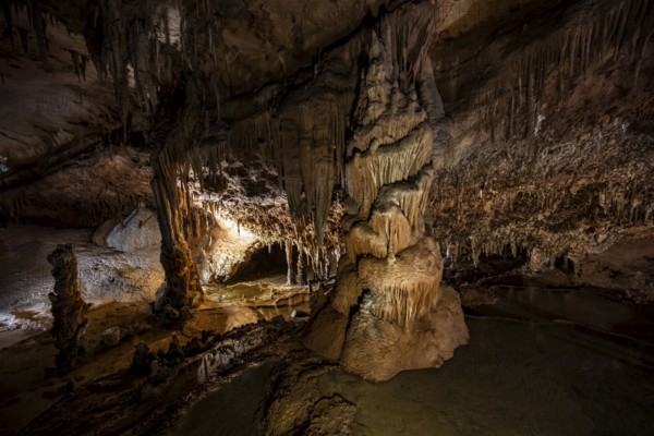 Stalactites and stalagmites, rock formations in a stalactite cave, Grotta del Fico, Gulf of Orosei, Baunei, Sardinia, Italy