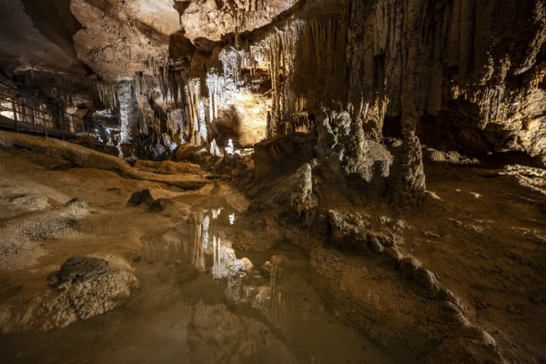 Stalactites and stalagmites, small underground lake, rock formations in a stalactite cave, Grotta del Fico, Gulf of Orosei, Baunei, Sardinia, Italy