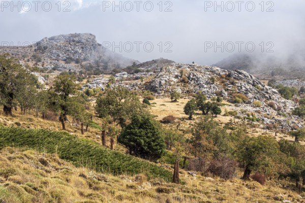 Mountain range Sierra de las Nieves, Parque Nacional Sierra De Las Nieves, Andalusia, Spain