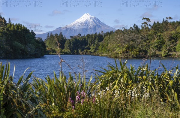 Lake Mangamahoe with views of Mount Taranaki. Egmont National Park, Taranaki Region, North Island, New Zealand