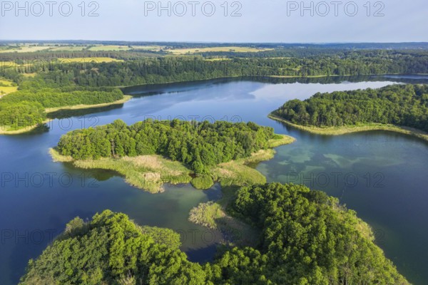 Aerial view, drone photo: Steinwerder and Bollenwerder islands, Carwitzer See, Carwitz, Feldberger Seenlandschaft, Mecklenburg Lake District, Mecklenburg-Western Pomerania, Germany