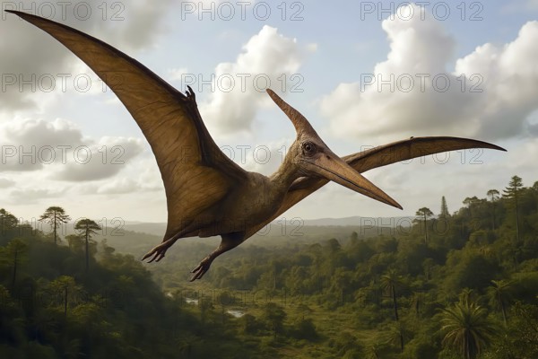 A pteranodon, a pteranodon, in flight from the Cretaceous period, symbol dinosaur, extinct, fossil, prehistoric, lizard, prehistoric period, paleontology, dinosaur, AI generated