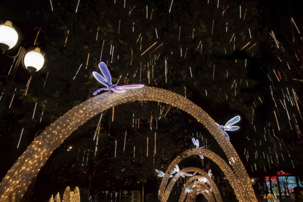 Krasnodar before the New Year. Russia