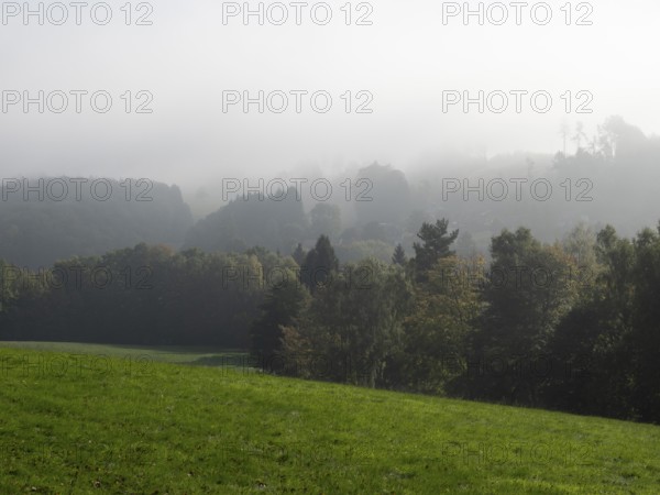 Landscape with meadows, forest and fog, Upper Lusatian mountain landscape, Zittau Mountains, Saxony, Germany