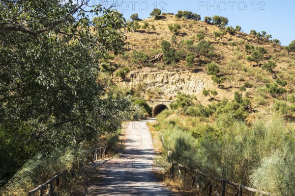 Cycle path Via Verde de la Sierra, path leads through a tunnel, Puerto Serrano to Olvera, near village Olvera, Andalusia, Spain