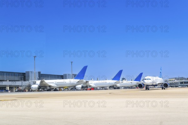 Several white and blue airplanes parked at airport gates on a clear, sunny day, waiting for their next departures or arrivals, creating a vibrant scene of aviation activity