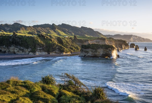 The Three Sisters and Elephant Rock formations, sea, evening, golden hour. Taranaki Region, North Island, New Zealand