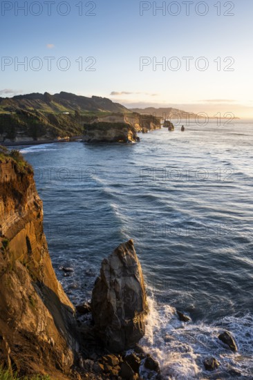 The Three Sisters and Elephant Rock formations, sea, evening, golden hour. Taranaki Region, North Island, New Zealand