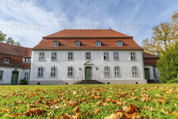 Leaves in a meadow in front of Wiepersdorf Castle of the von Arnim family in autumn, Wieperdorf, Fläming, Brandenburg, Germany