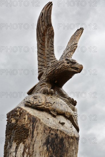 Carved sculpture of a white-tailed eagle (Haliaeetus albicilla) from a tree on the River Peene at the Alt Plestlin water hiking rest area, work by a sculptor, Peene Valley nature park Park, Mecklenburg-Western Pomerania, Germany