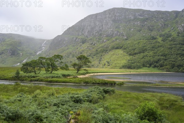 Group of trees and beach at the mouth of the Owenacoo River and Lough Beagh in the background Waterfall, Glenveagh National Park, Cross Roads, County Donegal, Ireland