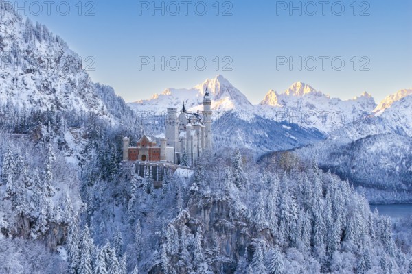Neuschwanstein Castle in the snowy Alps under a clear blue sky, Schwangau near Füssen, Ostallgäu, Allgäu, Bavaria, Germany
